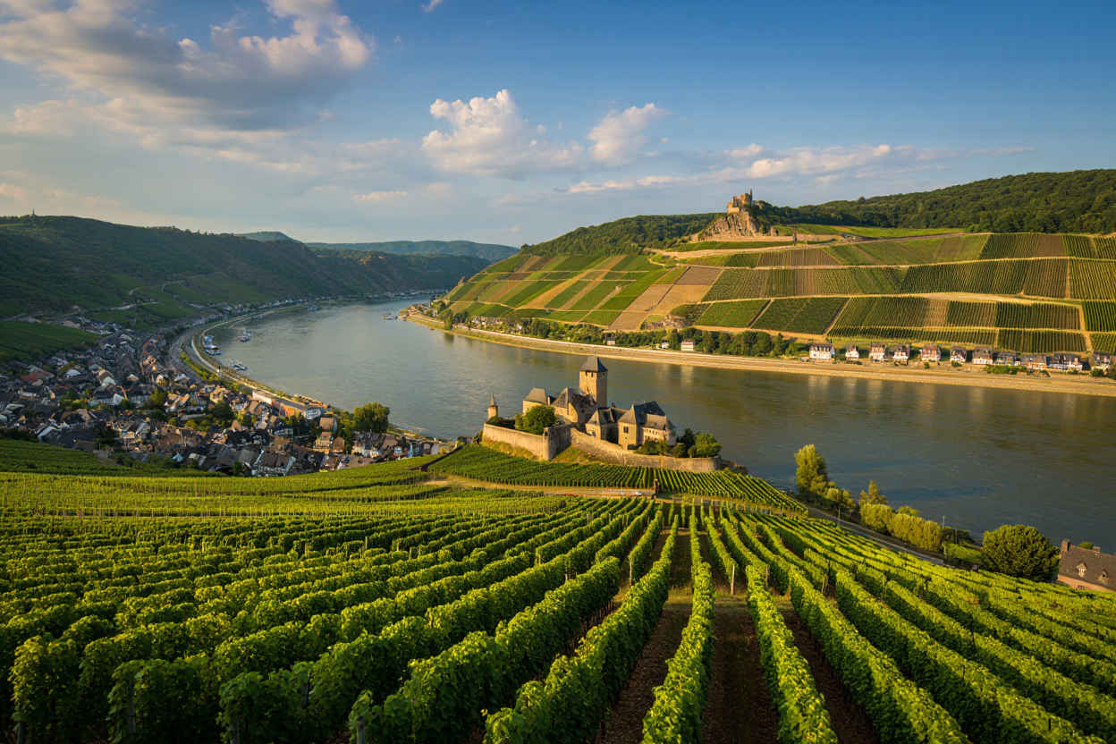 Rheintal Weinberge — Rüdesheim bis Koblenz